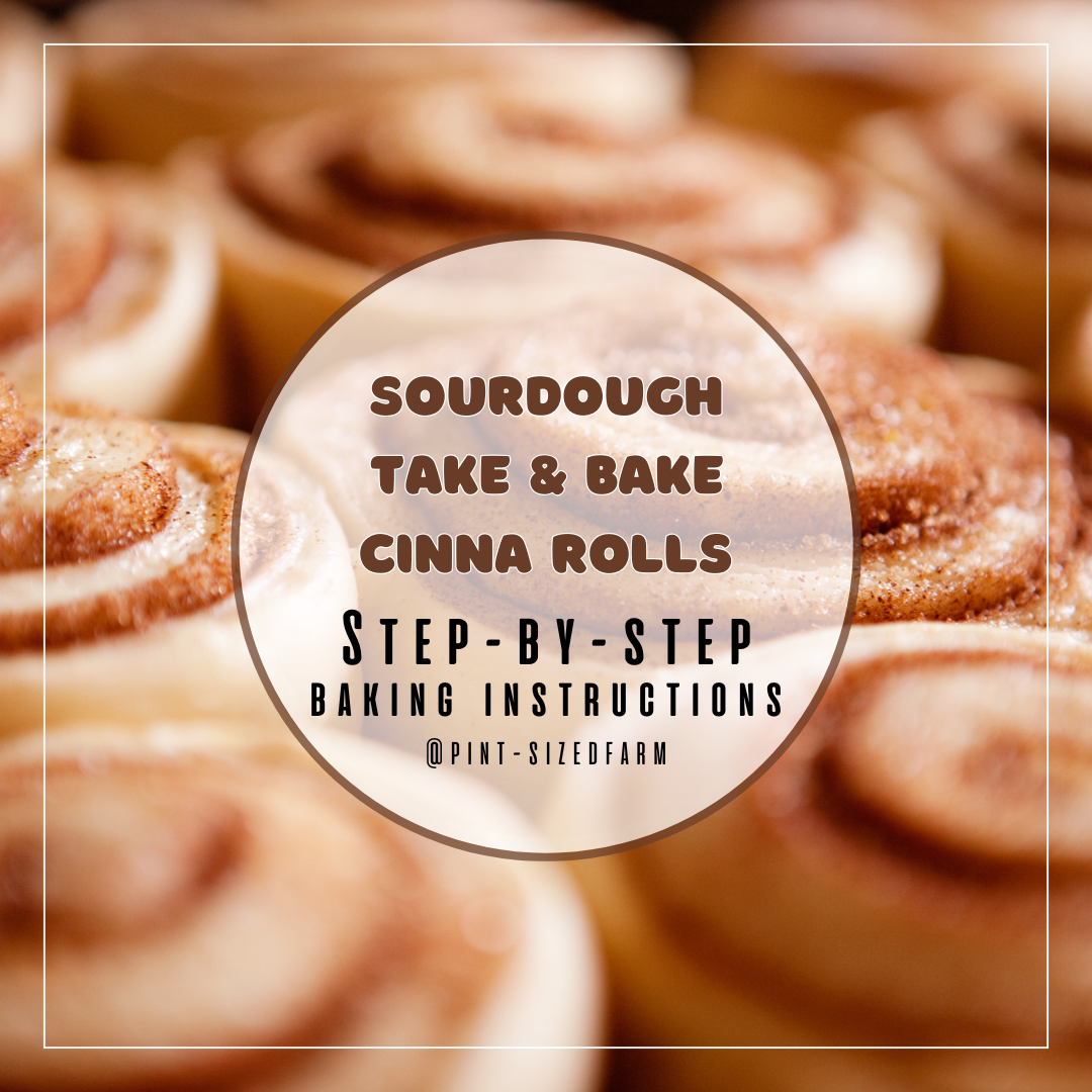 HOW TO for frozen Sourdough Cinna Rolls