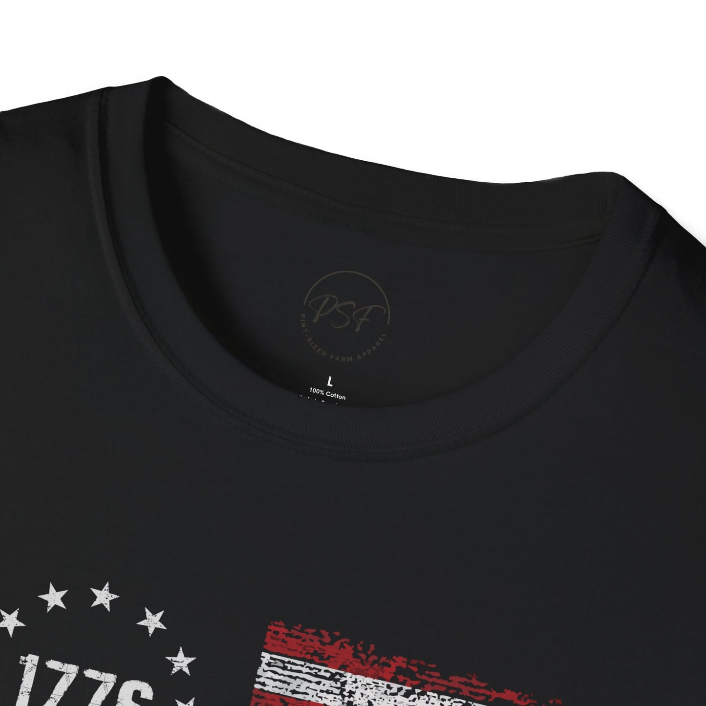 'We the People' 1776