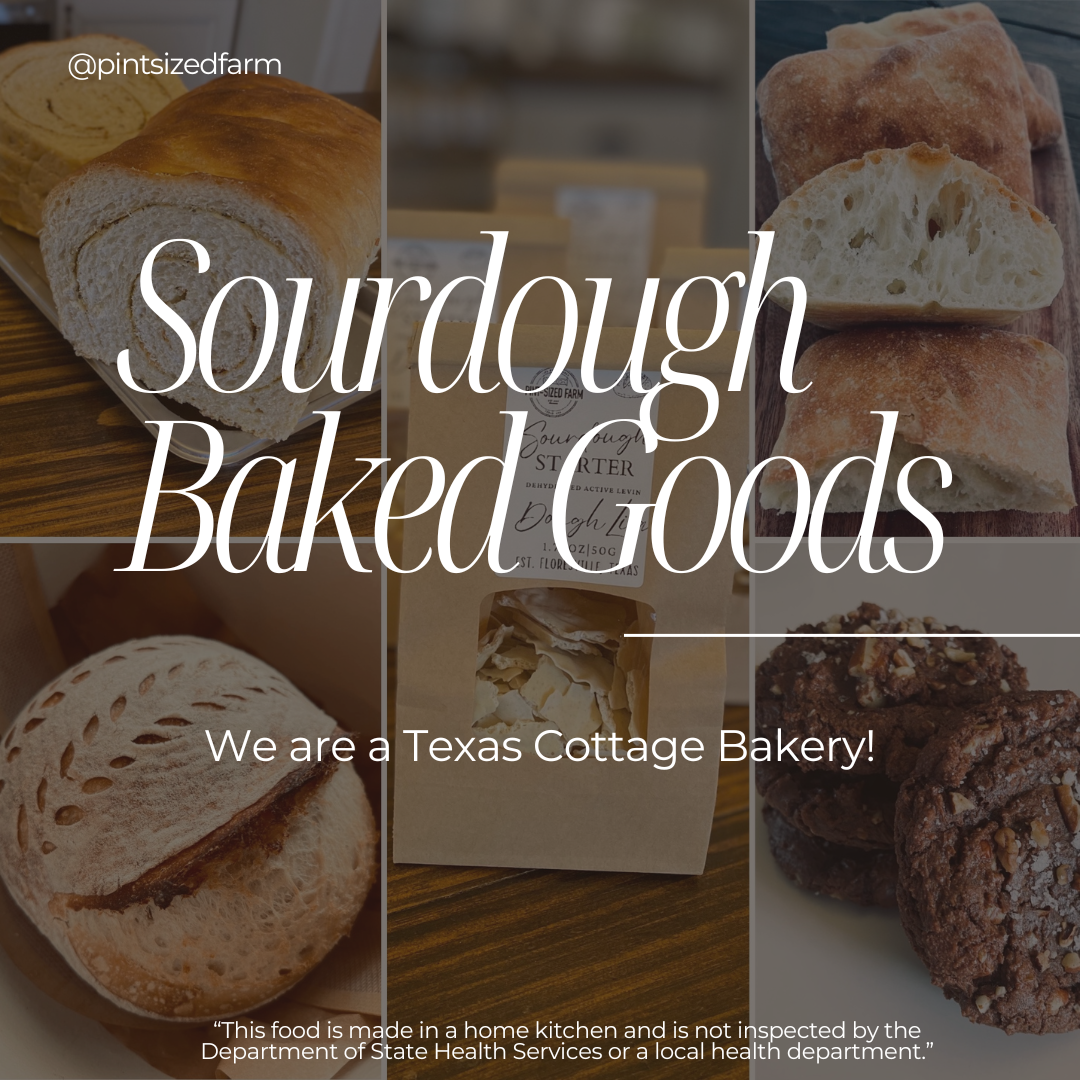 SOURDOUGH BAKED GOODS